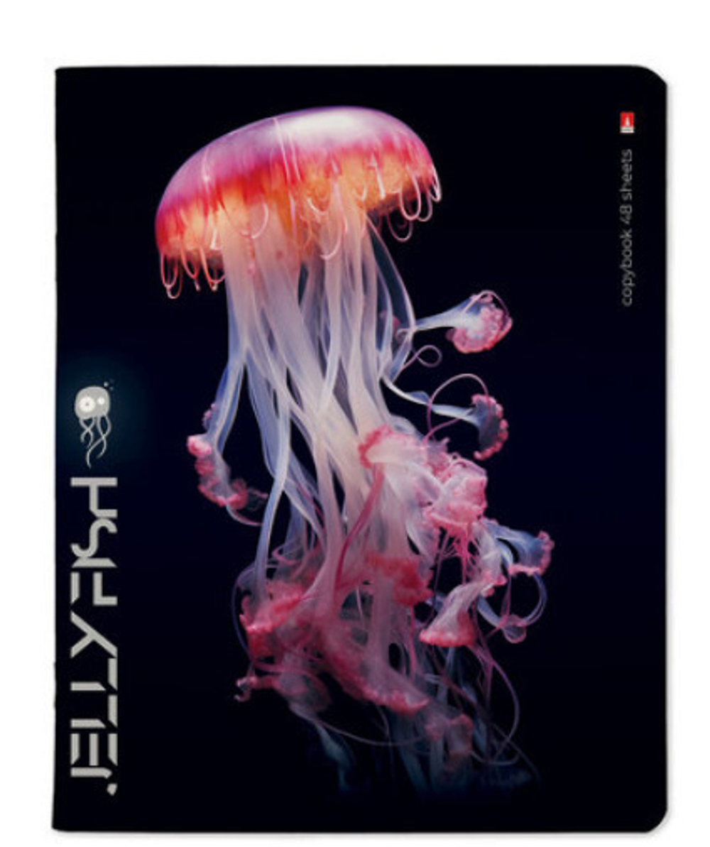 Тетрадь 48 л. БРУНО ВИСКОНТИ Медузы фентези (7-48-1331)