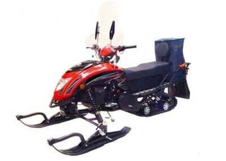 Снегоход REGULMOTO RACCOON (без ПСМ), разборный