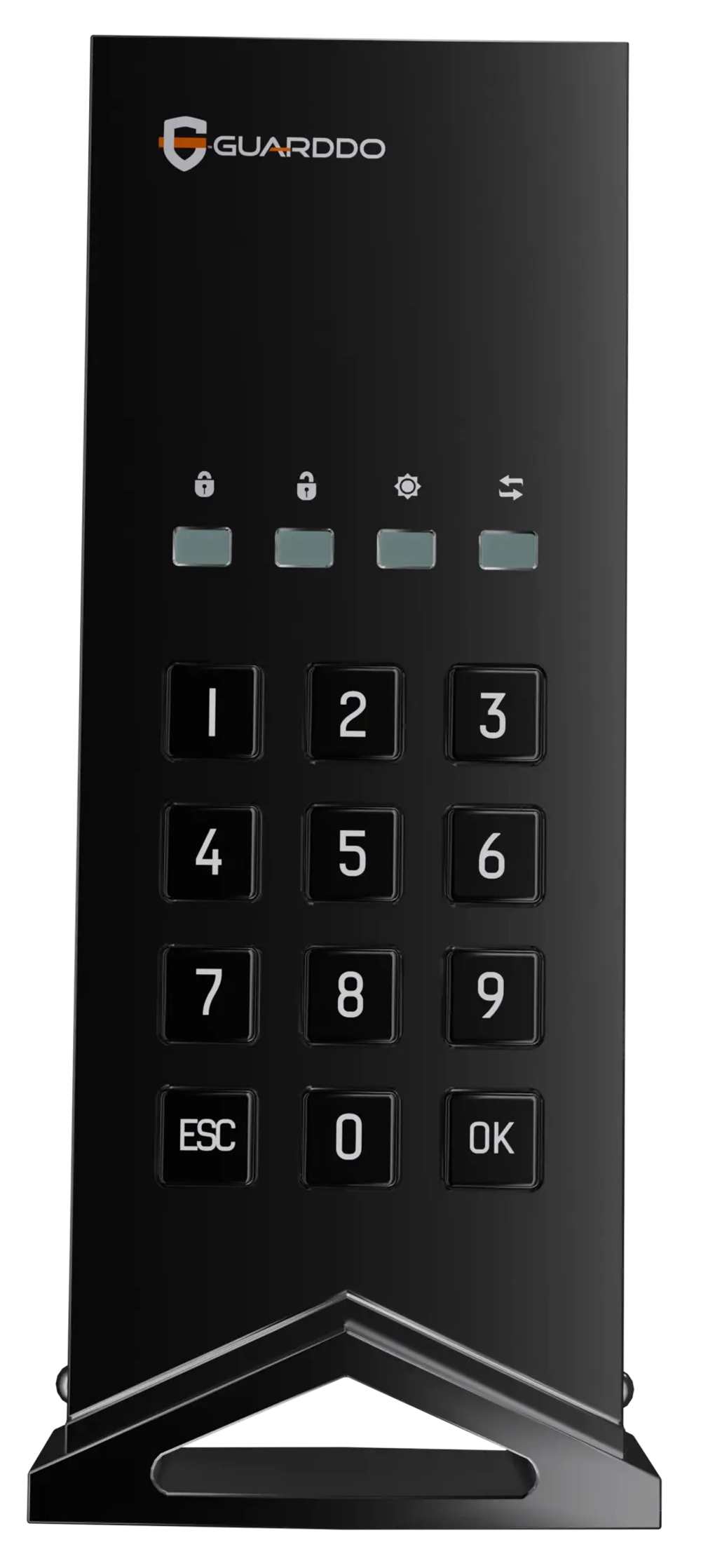 SSD-диск Pro Edition GuardDo с паролем и шифрованием AES-256