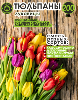 Тюльпан Луковица, Микс сортов, 200 шт