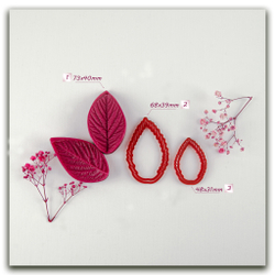 Лист малины средний