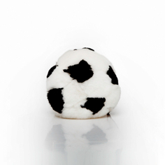 К 23 февраля