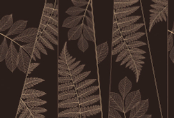 Коллекция Line art