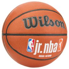 Мяч баскетбольный Wilson JR. NBA Fam Logo Indoor Outdoor WZ2009801XB7, размер 7
