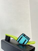Christian Dior Dway Slide (11 colors)