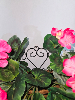 Герань густая малиновая 35см в настенной коковите