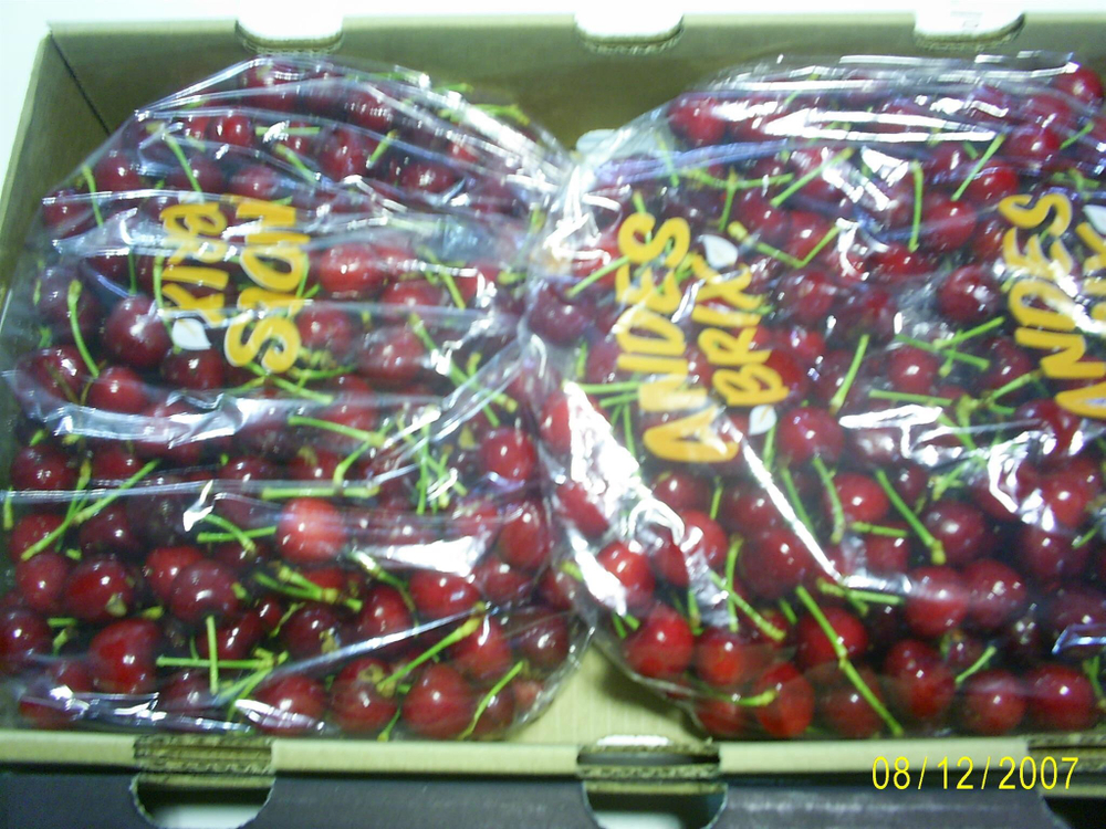 черешня чилийская сорт Bing, lapins ,Van.