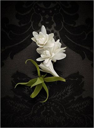 Yves Saint Laurent Supreme Bouquet (Le Vestiaire des Parfums)