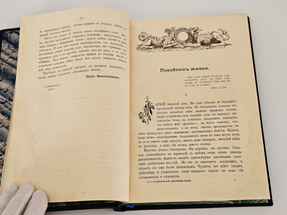 "Диковинки Земли". П.Е.Васильковский. 1913г.