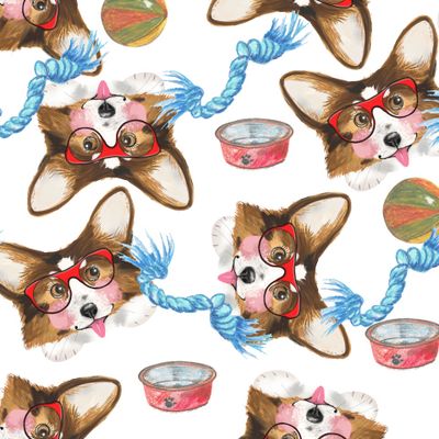 Корги хипстер