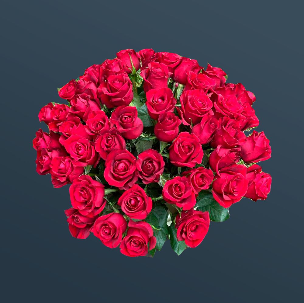 Розы 51 шт
