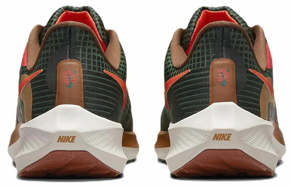 Кроссовки Nike Air Zoom Pegasus 39 "A.I.R. Hola Lou"