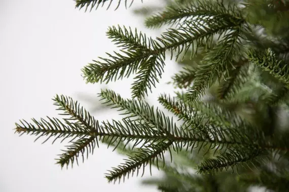 Искусственная ель Французская 230 см., литая хвоя+пвх, Black Box (74379)