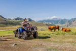 Квадроцикл СТЕЛС ATV 650 Guepard Trophy EPS CVTech