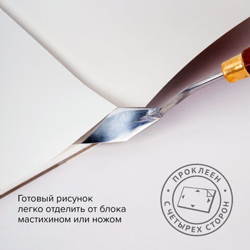 Папка для акварели/планшет, 300 г/м2, 190х270 мм, склейка, среднее зерно, 20 л., BRAUBERG ART PREMIERE, 113245