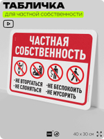 Табличка для частной территории "Частная собственность", на дом, для участка, организаций, предупреждающая, 40х30 см, Silver Plane x Айдентика Технолоджи
