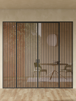 Minoli 13