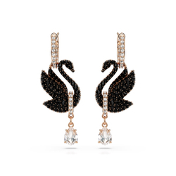SWAN:PE RC06/ROS