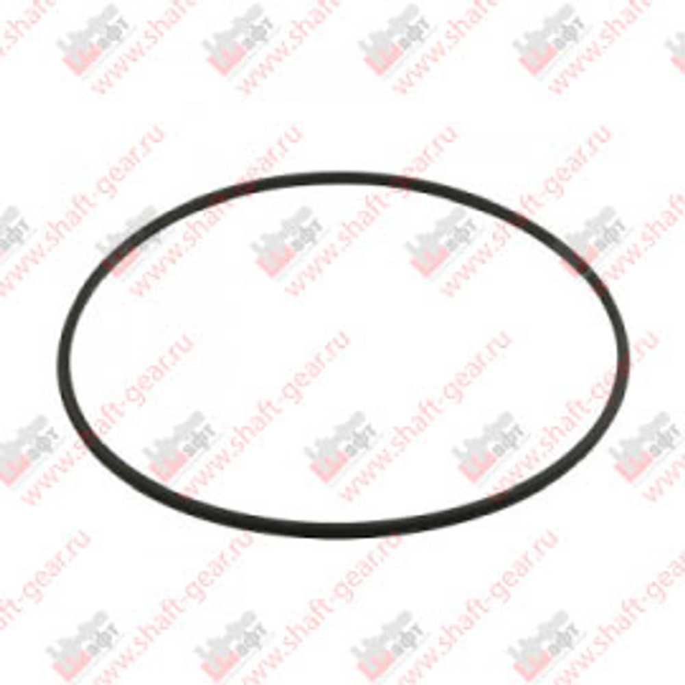 WG9003990120 - Стопорное кольцо на КПП