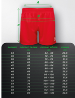SSS-2008FIAS Шорты САМБО Мастер FIAS Approved красные