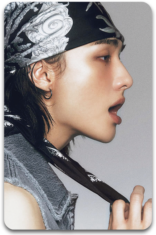 Карта / STRAY KIDS #1355