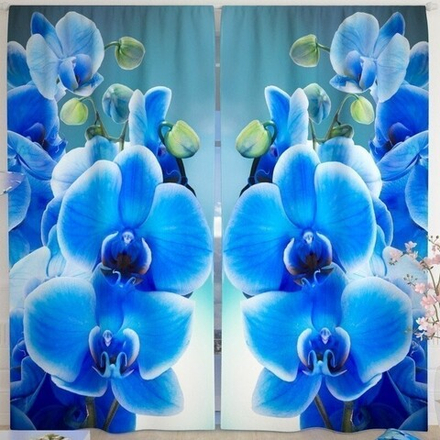 Фотошторы "РД. ГОЛУБАЯ ОРХИДЕЯ", Россия.