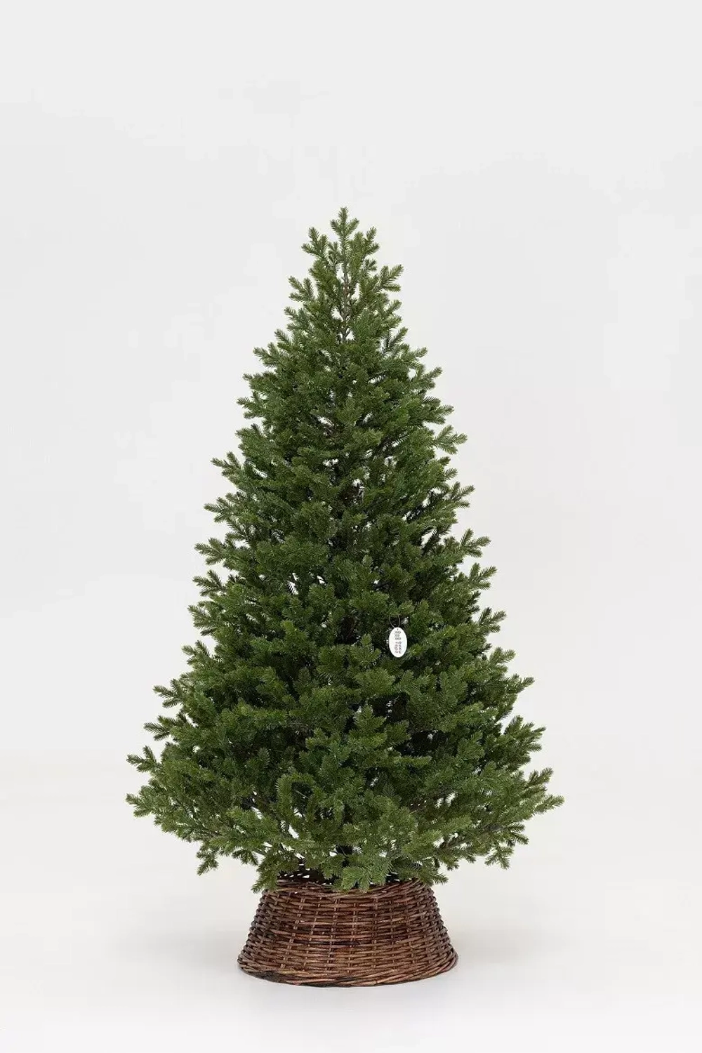 Искусственная елка Измайловская 240 см., 100% литая хвоя, 1900 мульти LED ламп, 10 режимов, ЕлкиТорг (57240)