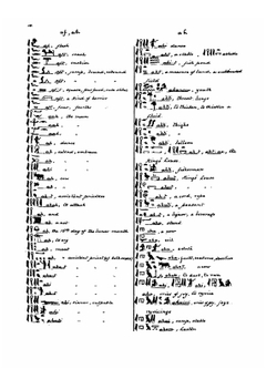 A Dictionary of the Egyptian Language | Edward Y. McCauley