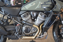 Harley-Davidson Pan America 1250 Special Deadwood Green