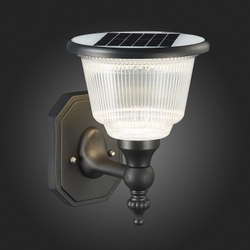 Уличный настенный светильник ST-Luce SL9502.401.01