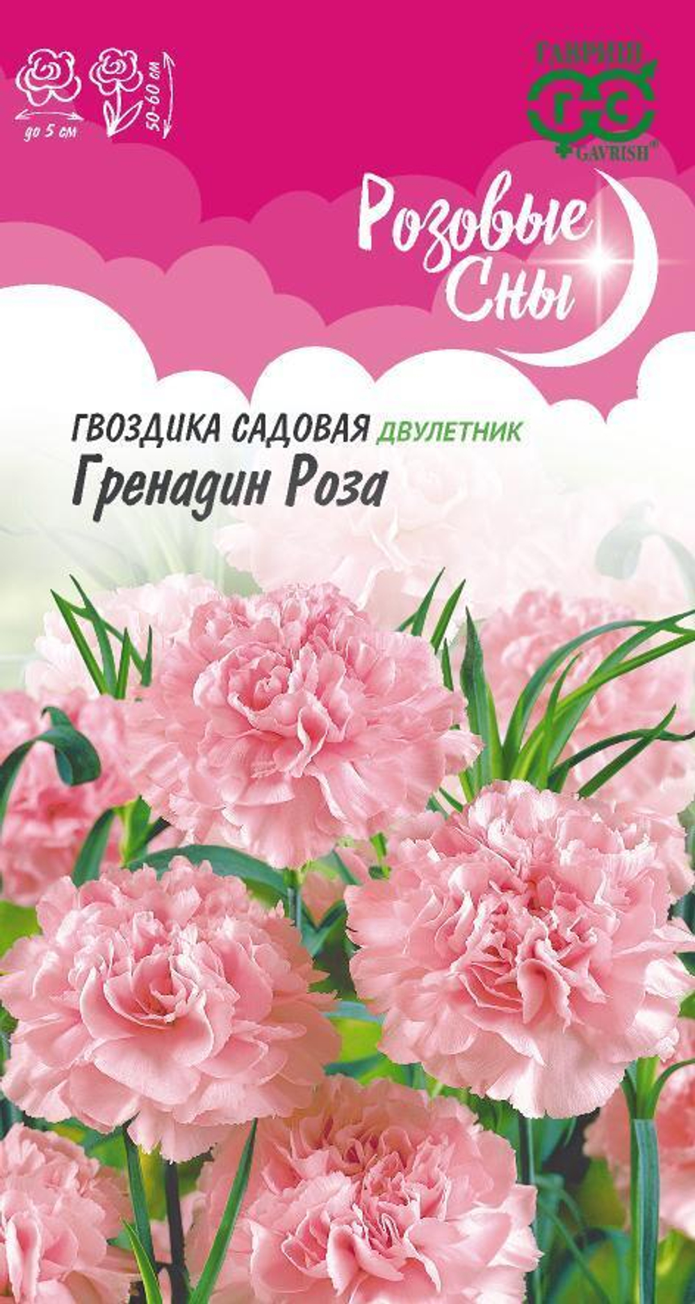 roza_mini4