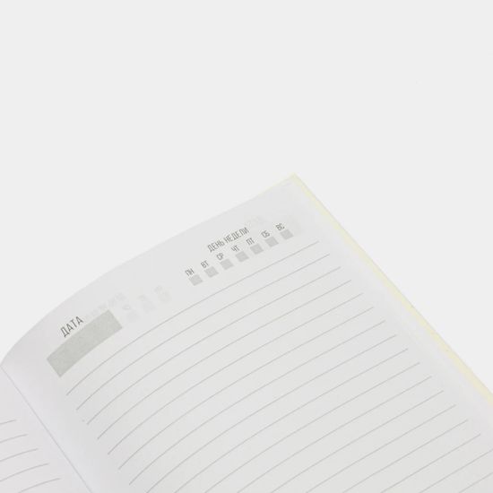 Ежедневник «Замышляю только шалость. Шалость удалась» 18+