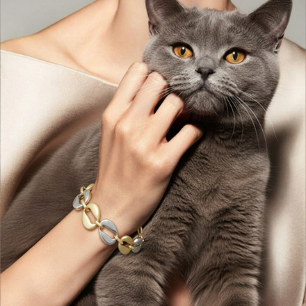 Браслет Fiore Luna CG209523H-001 G