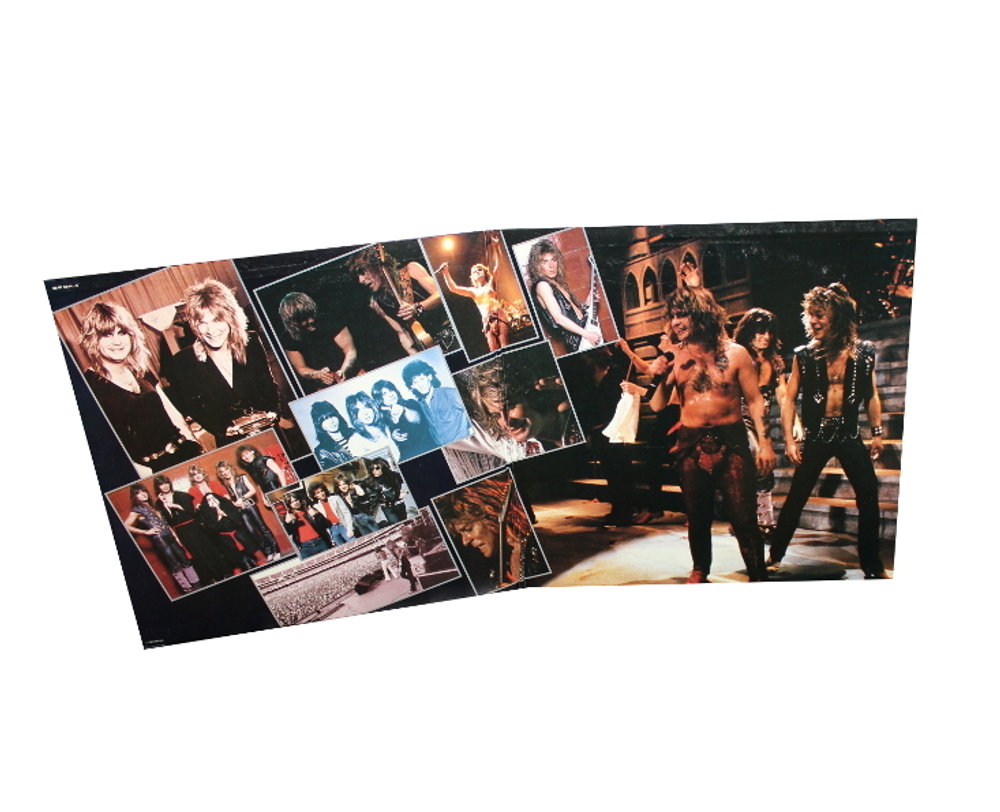 Ozzy Osbourne / Randy Rhoads Tribute (2LP)