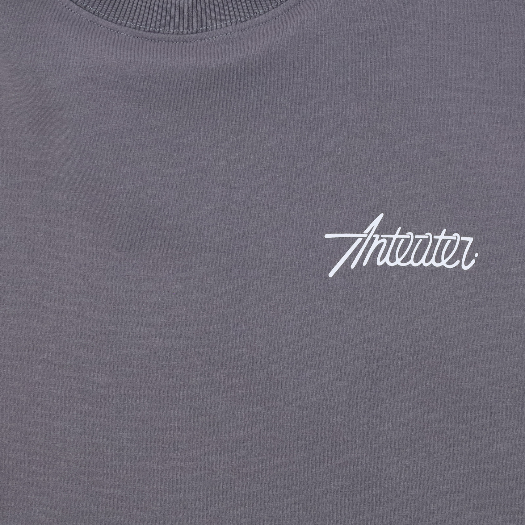 Футболка Anteater Phat Tee 480 (grey) артикул: - купить в магазине Дайс