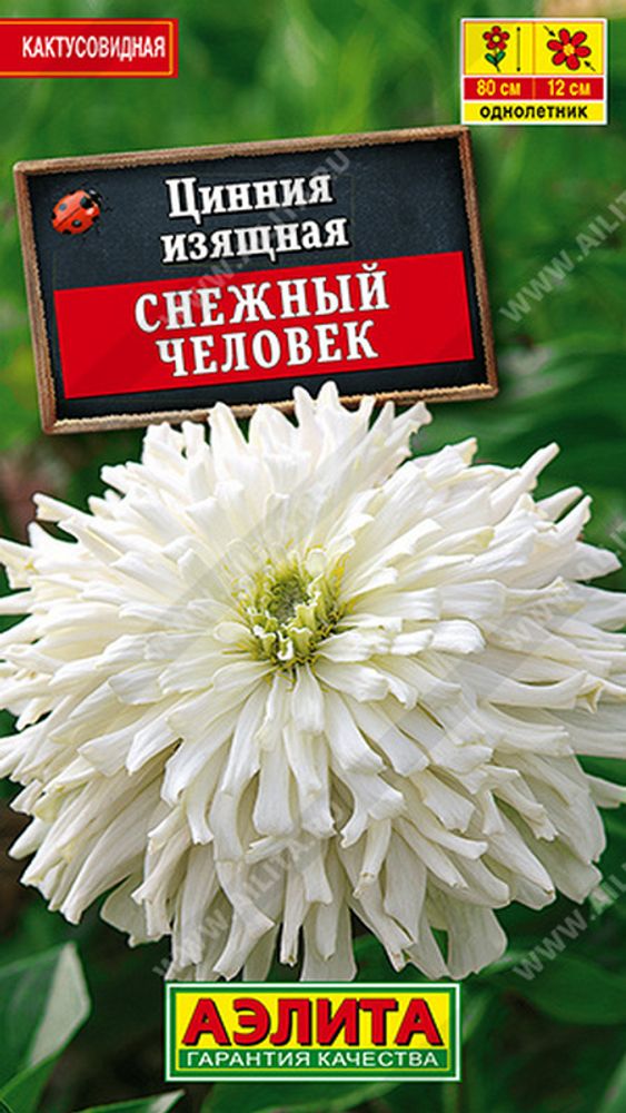 Цинния "G. Снежный человек" 0.2г., Россия. Цинния "G. Снежный человек" 0.2г., Россия.