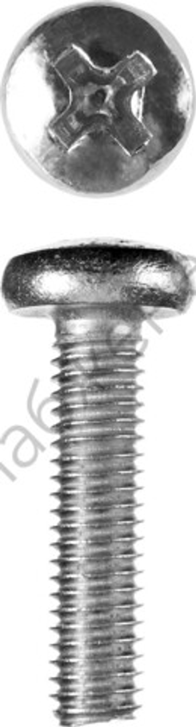 ЗУБР DIN 7985 M6 x 25 мм, кл. пр. 4.8, винт с полусферической головкой, цинк, 5 кг (303150-06-025)