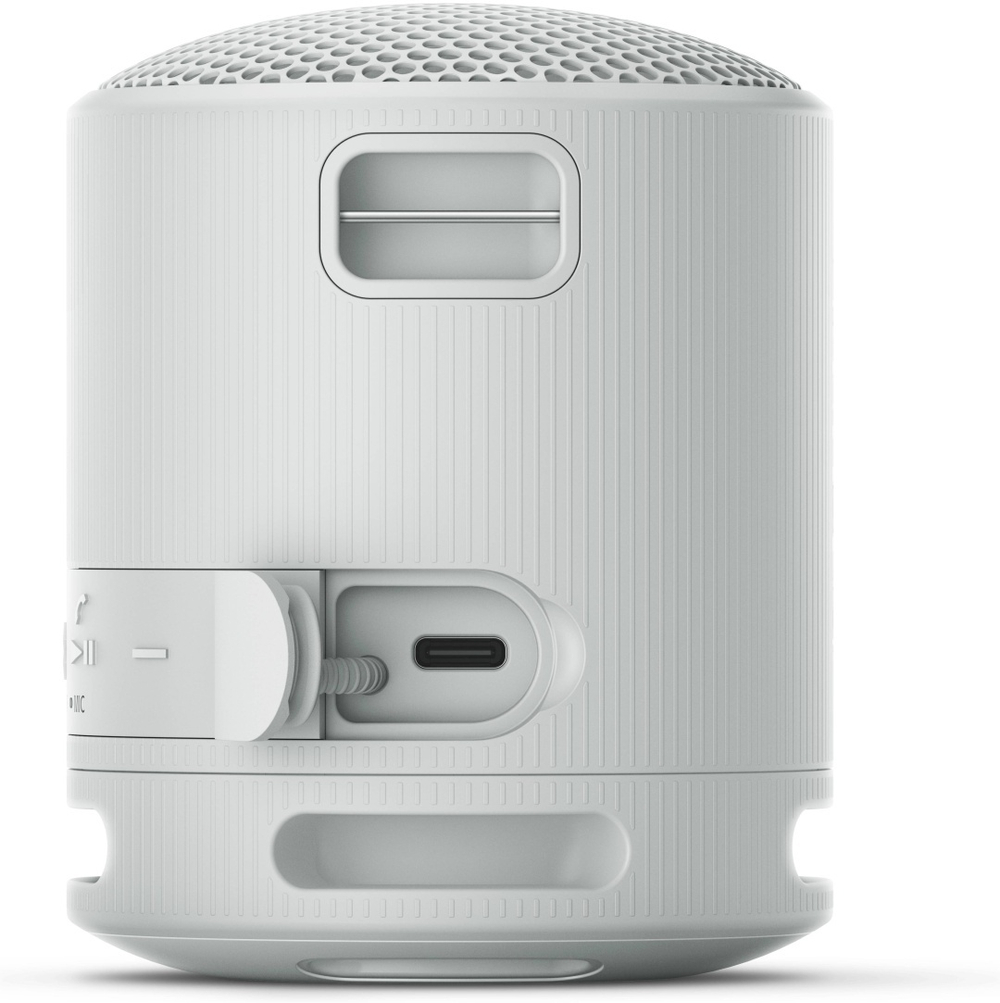 Sony SRS-XB100/HE серый