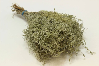 Сбор трав "Полынь лимонная"