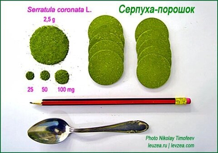 Серпуха-порошок 100 грамм содержит 4730 мг экдистерона