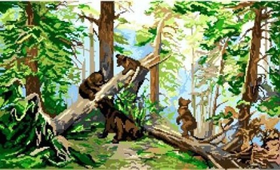 К-6014 Утро в сосновом лесу