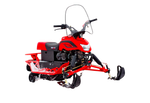 Снегоход IRBIS DINGO T200 2023