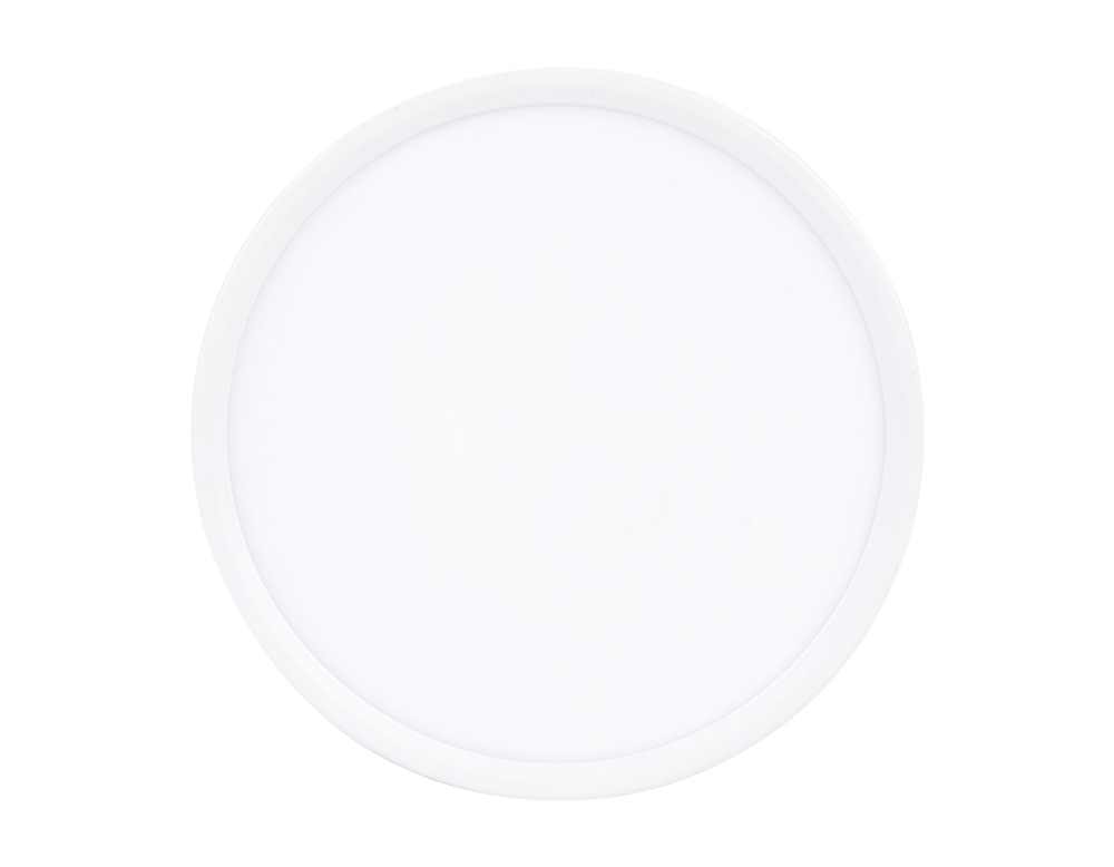 DLR301 6W 4200K 220-240V D100*25 (A50-90)