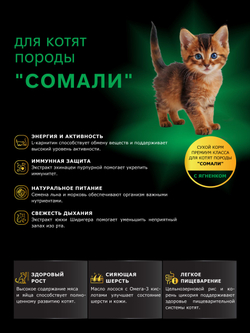 Корм сухой для котят породы Сомали, с ягненком, 2кг, QUATTRO