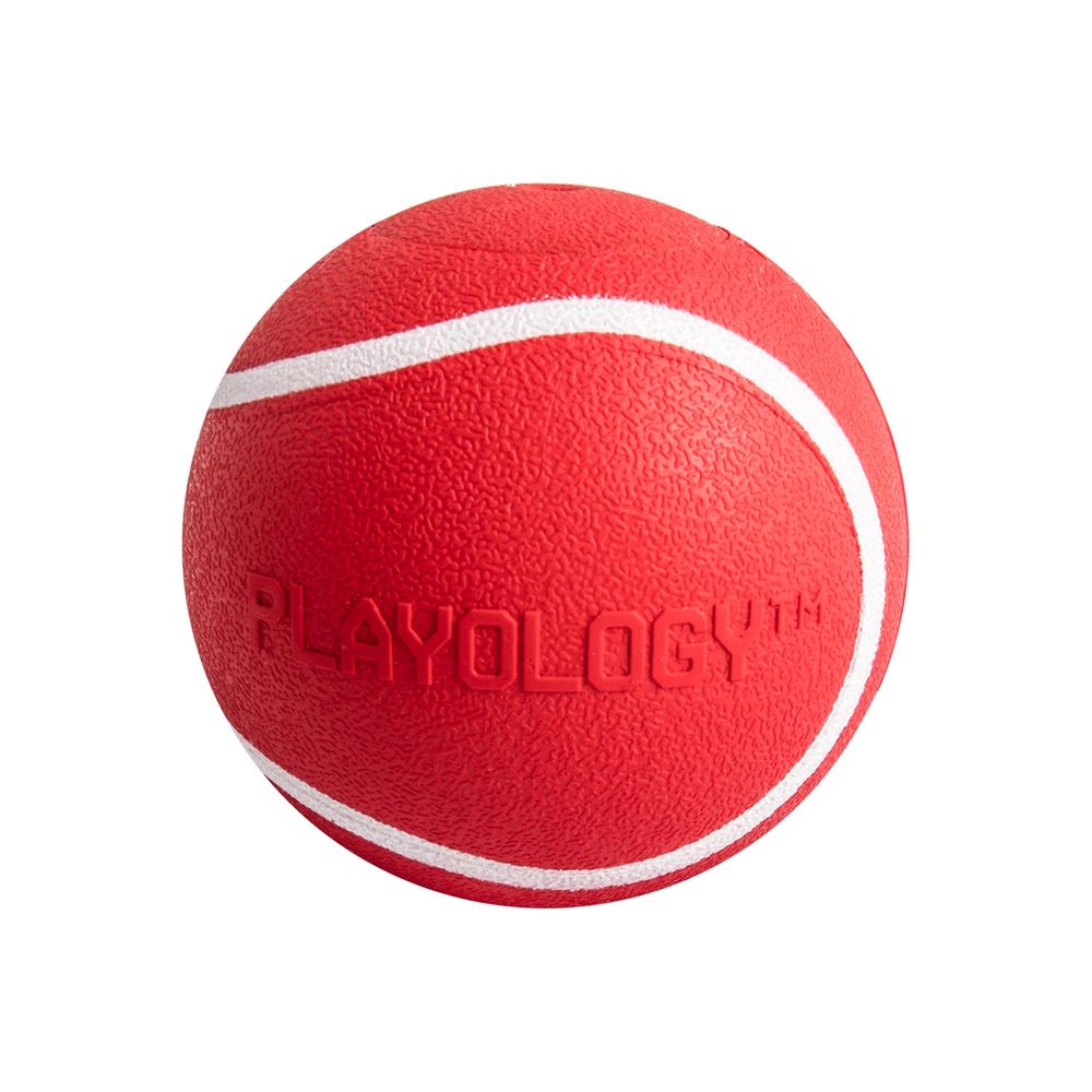 Жевательный мяч Playology SQUEAKY CHEW BALL 6 см для собак мелких и средних пород с пищалкой и с ароматом говядины, цвет красный Жевательный мяч Playology SQUEAKY CHEW BALL 6 см для собак мелких и средних пород с пищалкой и с ароматом говядины, цвет красный