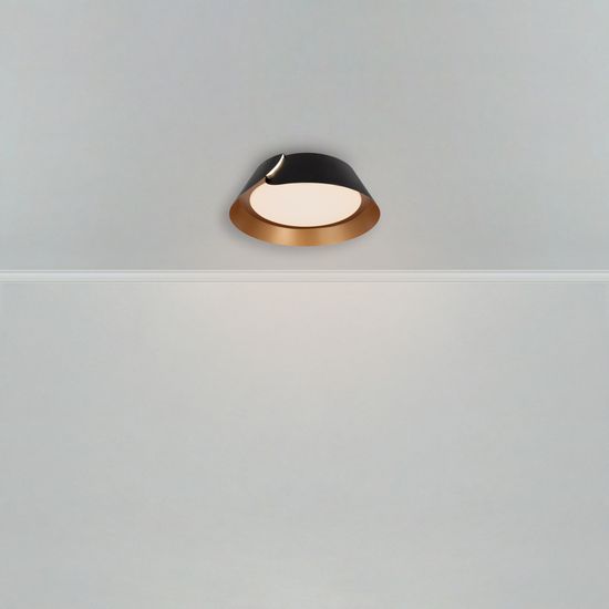 Потолочный светильник Freya FR6092CL-L72GB