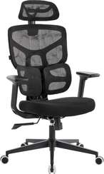 Эргономичное кресло Omega Black Сетка Черный