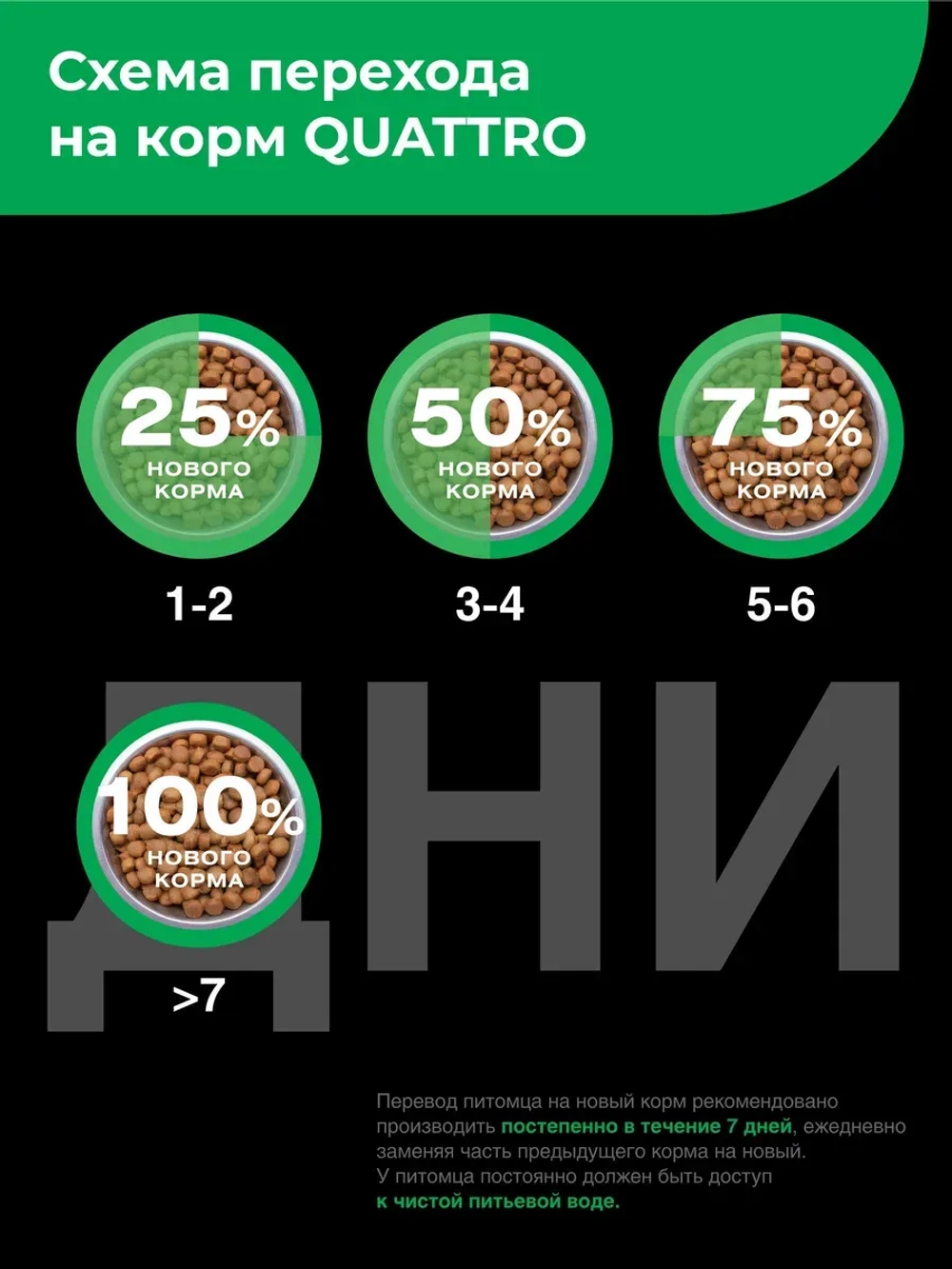 Корм для котят породы Турецкая ангора, с ягненком, 400 гр