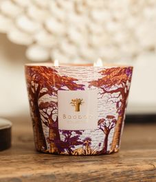 Massasso, свеча MAX 10 Sacred Trees collection, Baobab Collection