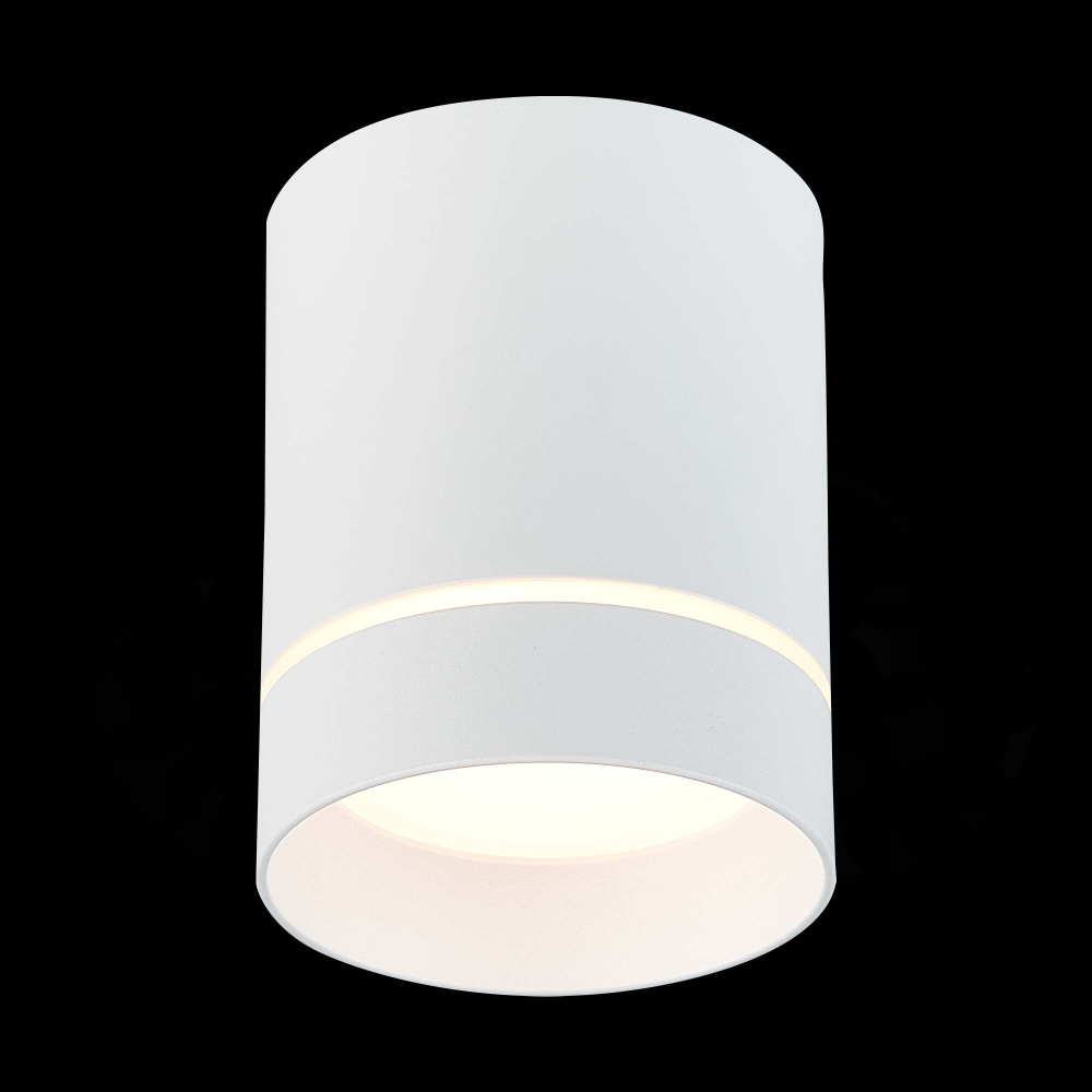 ST115.532.12 Светильник потолочный Белый LED 1*12W 3000K 840Lm Ra&gt;90 120° IP20 D79xH100 170-240V Накладные светильники